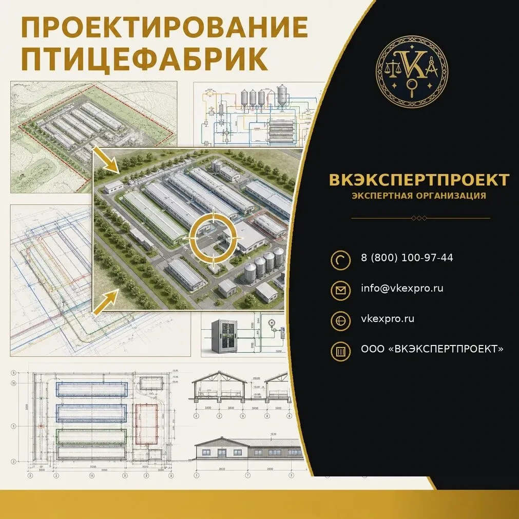 Проектирование птицефабрик
